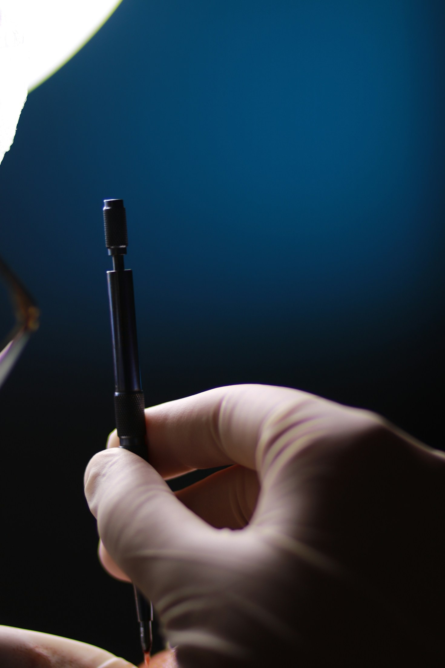 Expanding Your Expertise In Specialized Fields